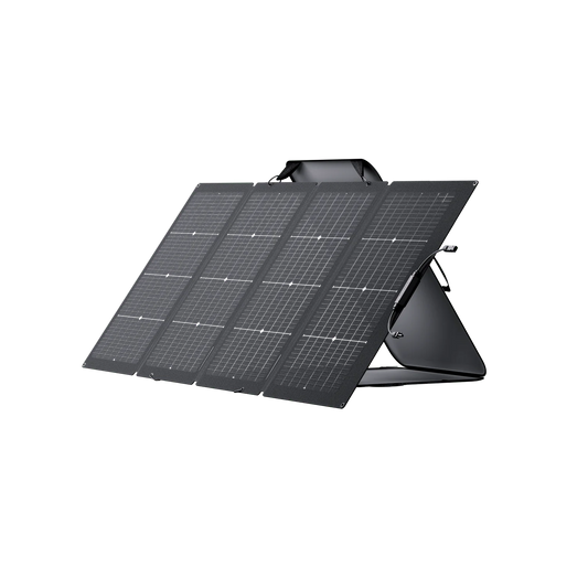 EcoFlow 220 Watt Bifacial Solar Panel